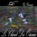 Quatuor Laqué / Le chant des oiseaux